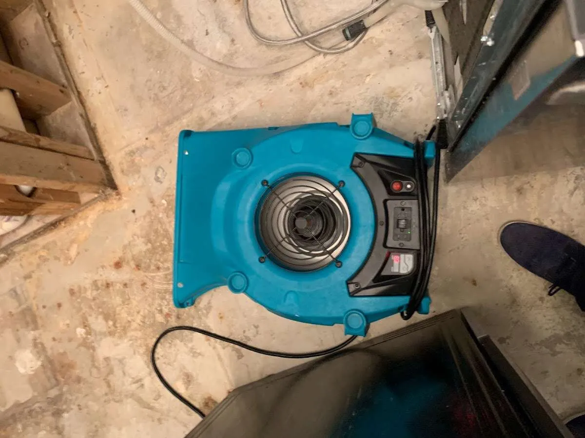 Air mover drying equipment for Mold Remediation & Removal in Manorhaven