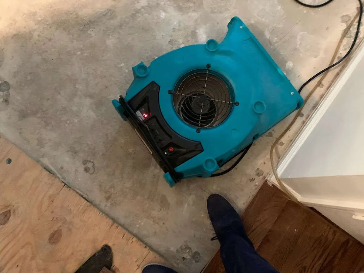Air mover drying subfloor during Commercial Water Damage Restoration in Manorhaven